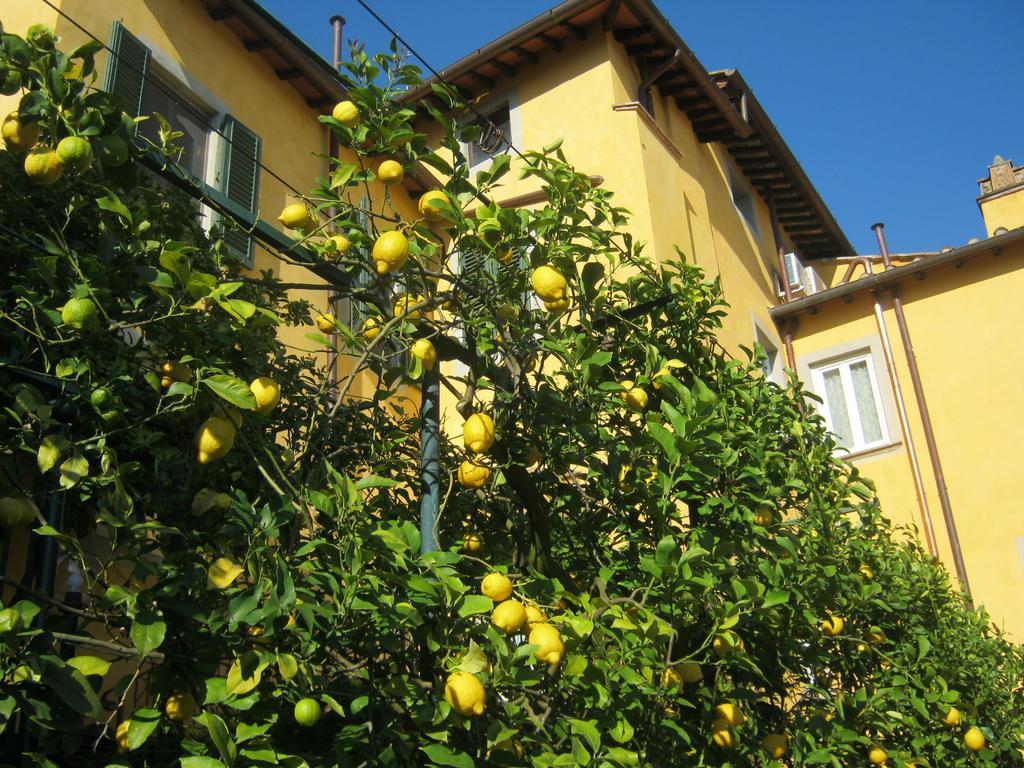 Holiday Home Il Borgo Degli Agrumi Uzzano エクステリア 写真